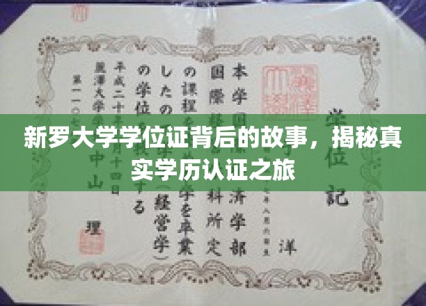新罗大学学位证书背后的故事，揭开真实学历认证的神秘面纱
