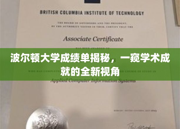 解码波尔顿大学成绩单，探索学术辉煌的独到视角