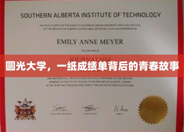 成绩单映照下的圆光大学青春篇章