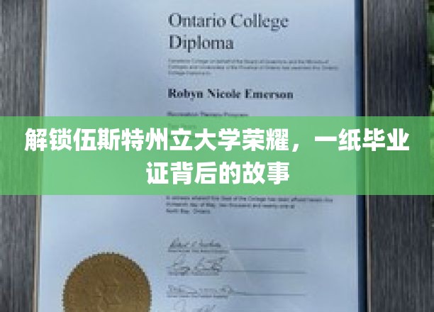 解锁伍斯特州立大学荣耀，一纸毕业证背后的故事