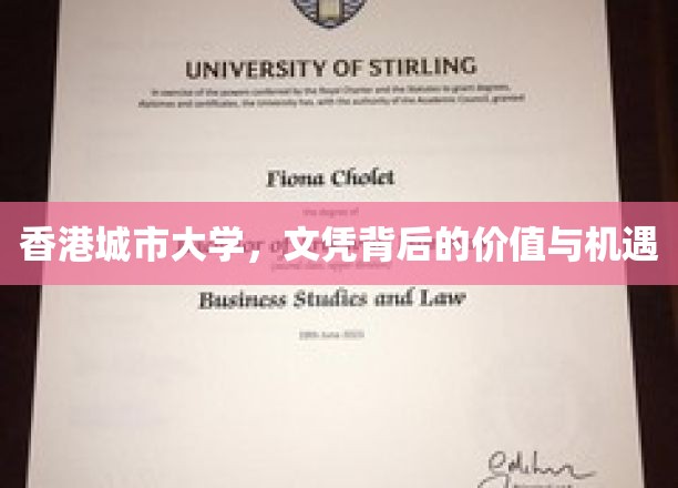 解码港城大学位，价值与未来无限可能