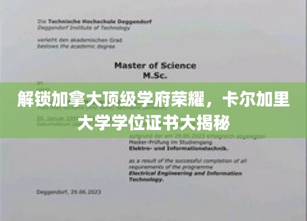 解锁加拿大顶级学府荣耀，卡尔加里大学学位证书大揭秘