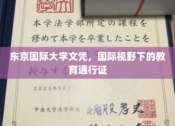 跨国认可的教育通行证，东京国际大学文凭的全球影响力