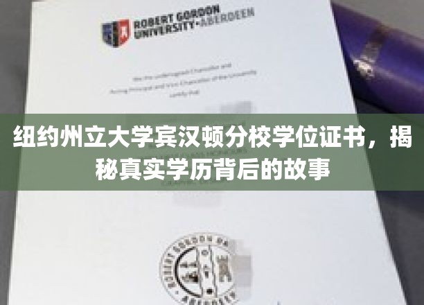 探寻纽约州立大学宾汉顿分校学位证书背后的学历传奇