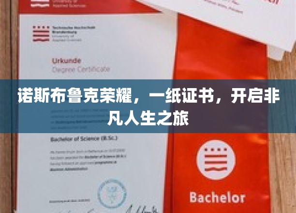 诺斯布鲁克荣耀见证，证书开启非凡人生新篇章