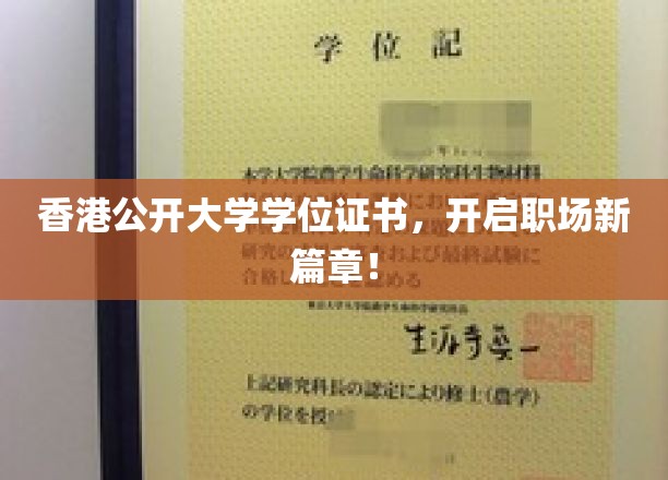 港大学位证书助力，开启您职业生涯的璀璨新章
