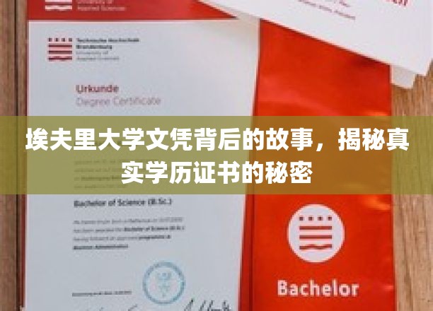 探寻埃夫里大学文凭之谜，揭秘学历认证背后的真实面纱