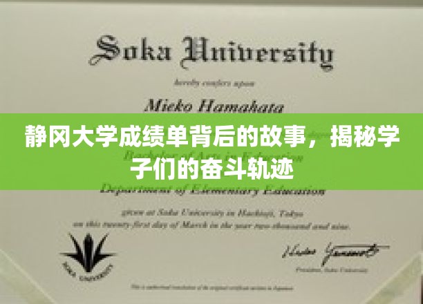 静冈大学成绩单中的青春足迹，学子奋斗之路全景呈现