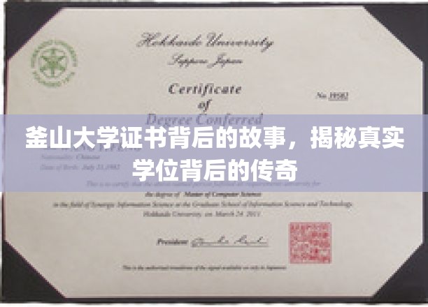 釜山大学学位传奇，揭开证书背后的不凡历程