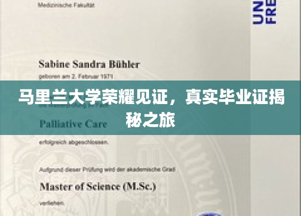 马里兰大学荣耀见证，真实毕业证揭秘之旅