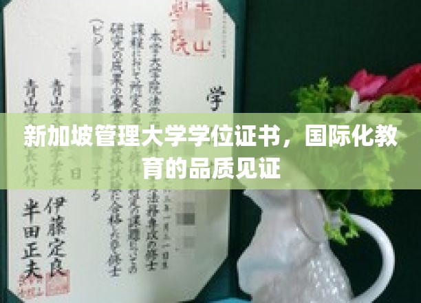 新加坡管理大学学位证书闪耀，诠释国际教育卓越品质