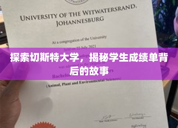解码切斯特大学，揭开成绩单背后的精彩篇章