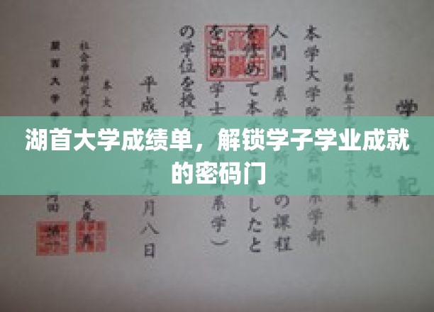 解码湖首学子荣耀，揭秘学业成就的秘钥之门
