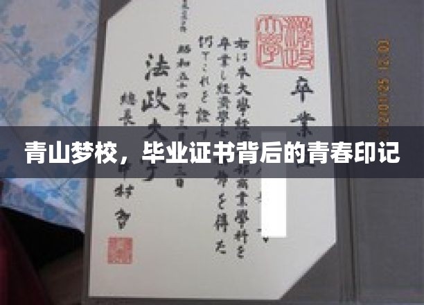 青山梦校，毕业证书背后的青春印记