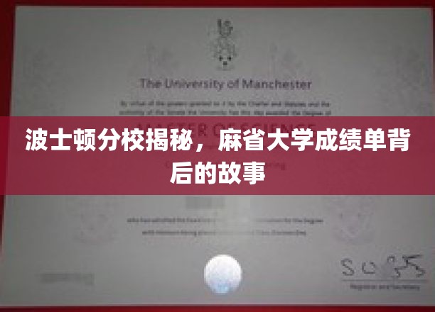 波士顿分校揭秘，麻省大学成绩单背后的故事