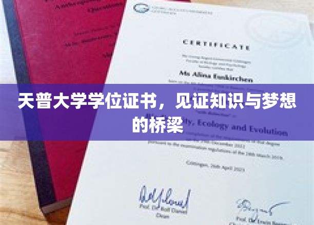 天普大学学位证书，见证知识与梦想的桥梁
