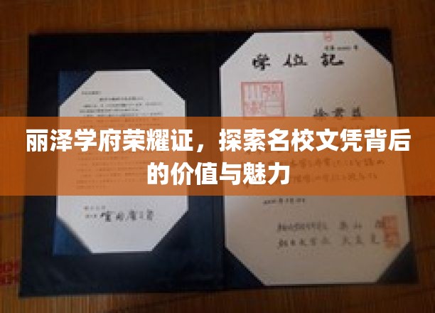 解码丽泽学府荣耀章，名校文凭的价值魅力全景解析