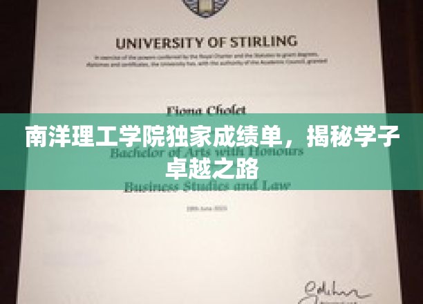 解码南洋学子卓越篇章，独家成绩单背后的成长轨迹