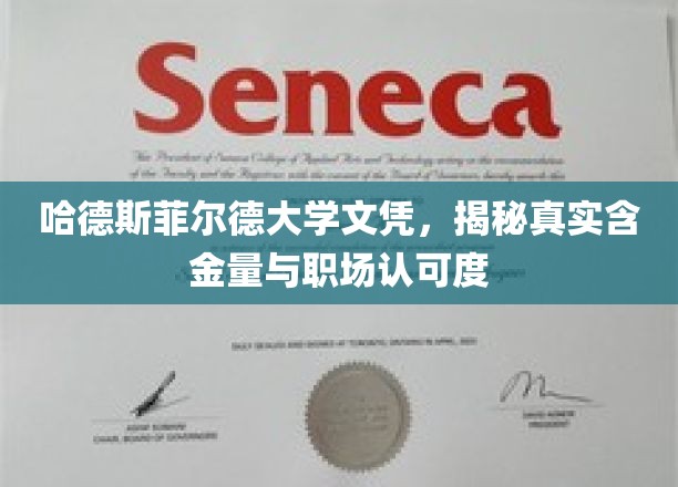 哈德斯菲尔德大学文凭，揭秘真实含金量与职场认可度