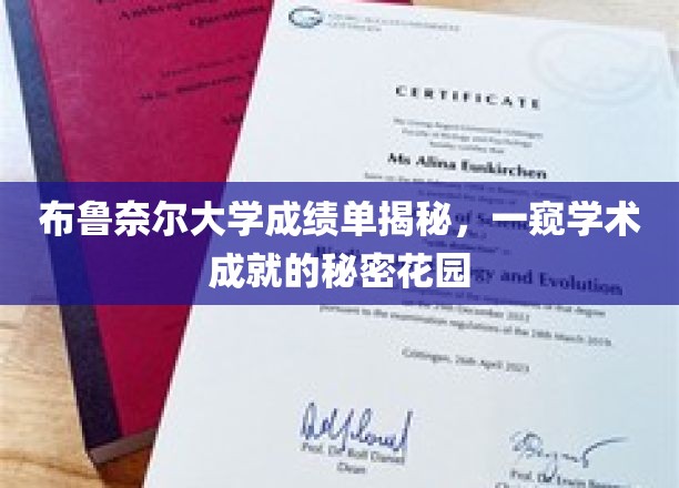 探寻布鲁奈尔大学成绩单背后的学术秘境