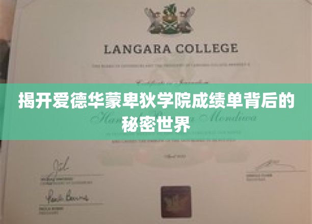 蒙卑狄学院成绩单之谜，探索不为人知的学霸传奇