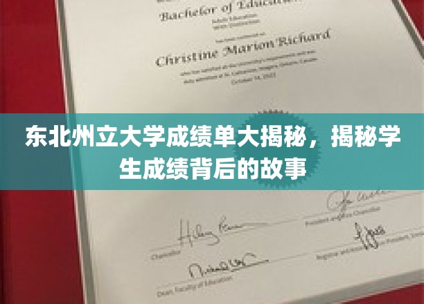 东北州立大学成绩单大揭秘，揭秘学生成绩背后的故事