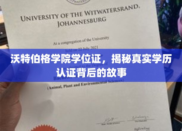 沃特伯格学院学位证书，揭秘真实学历认证背后的故事