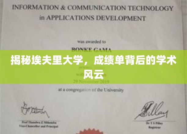 埃夫里大学成绩单背后，一场惊心动魄的学术较量
