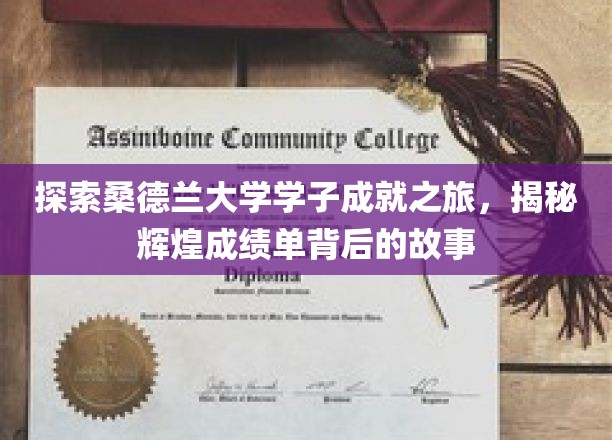 探索桑德兰大学学子成就之旅，揭秘辉煌成绩单背后的故事