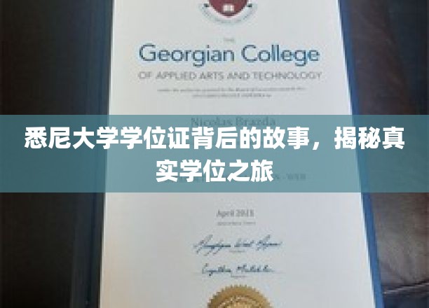悉尼大学学位证背后的故事，揭秘真实学位之旅