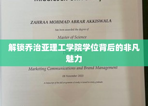 解锁乔治亚理工学院学位背后的非凡魅力
