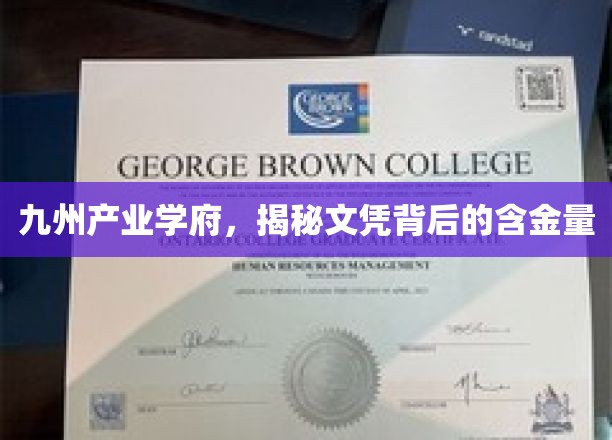 探秘九州学府，文凭背后的真实价值与影响力