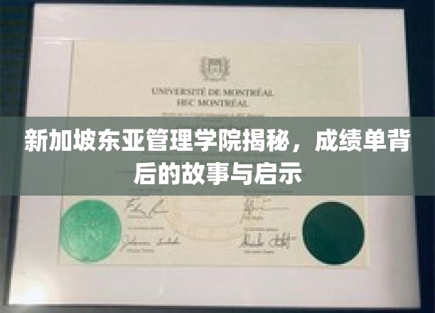 解码新加坡东亚管理学院，成绩单背后的成长轨迹与智慧启示