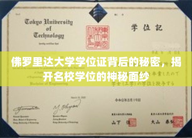 揭秘，佛罗里达大学学位证背后的故事，名校学历的奥秘一探究竟