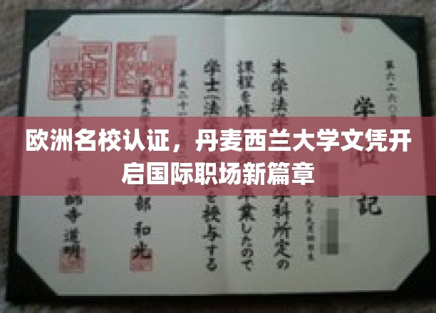 跨国学历新宠，丹麦西兰大学文凭，欧洲名校认证助力职场飞跃