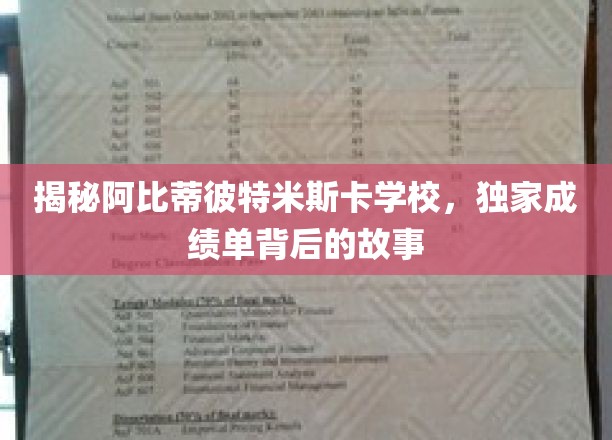 揭秘阿比蒂彼特米斯卡学校，独家成绩单背后的故事