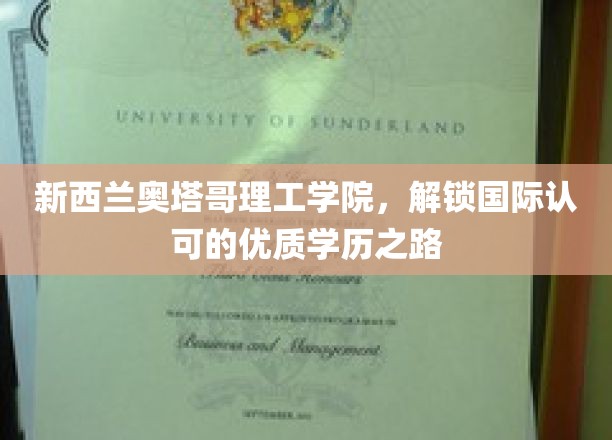 奥塔哥理工学院，通往国际认可学历的璀璨之门