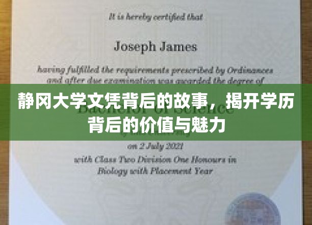 静冈大学文凭之谜，探寻学历背后的深层价值与独特魅力