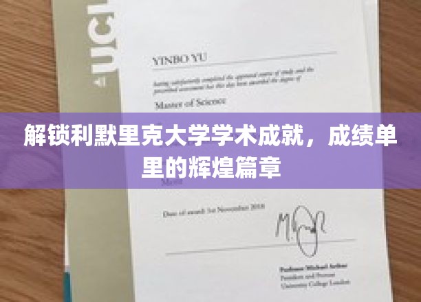 探秘利默里克大学，揭秘非凡学术成就背后的璀璨故事