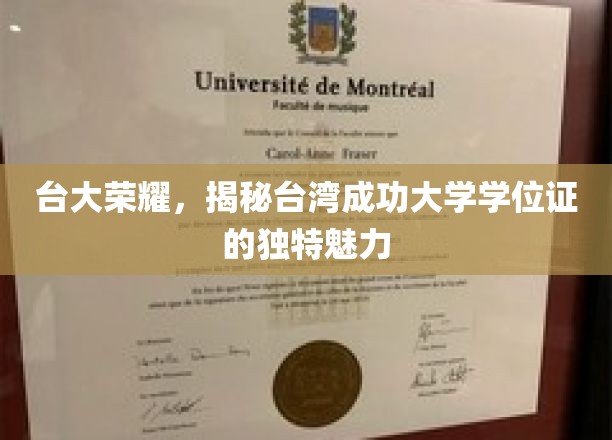 台大风采揭秘，成功大学学位证的独到韵味与荣耀传承