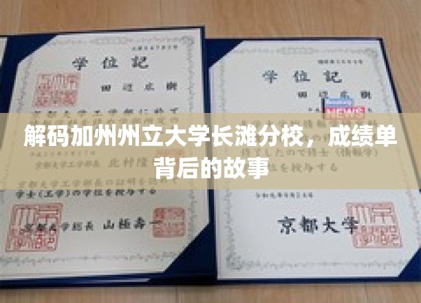 探寻加州州立大学长滩分校，成绩单背后的真实人生