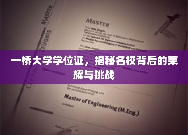 名校荣耀背后的故事，一桥大学学位证的辉煌与艰辛