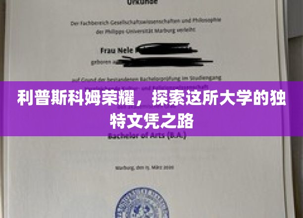 利普斯科姆荣耀之旅，揭秘独特文凭背后的大学魅力