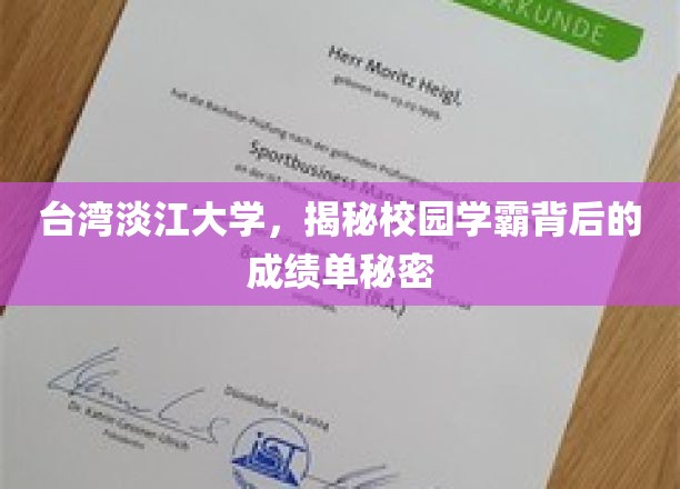 解码淡江学霸，揭秘台校精英的非凡成绩背后