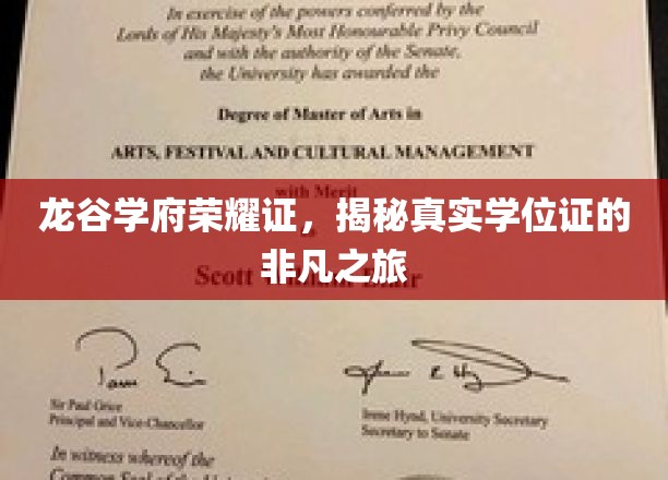 龙谷学府荣耀鉴，学位证背后的非凡征途