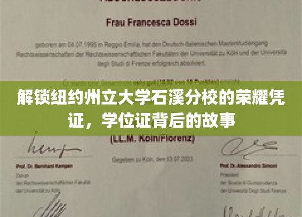 探寻纽约州立大学石溪分校荣耀印记，学位证背后的传奇故事