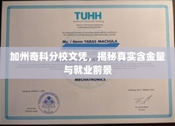 加州奇科分校学历探秘，解析含金量与职场未来
