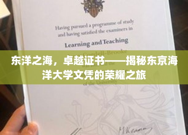 东洋之海，卓越证书——揭秘东京海洋大学文凭的荣耀之旅