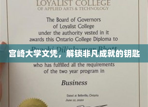 宫崎大学文凭，成就非凡人生的通行证