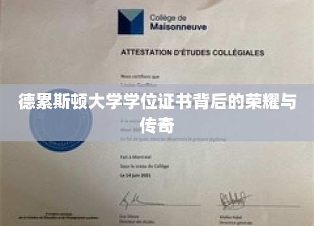 德累斯顿大学学位证书，探寻荣耀传奇背后的故事